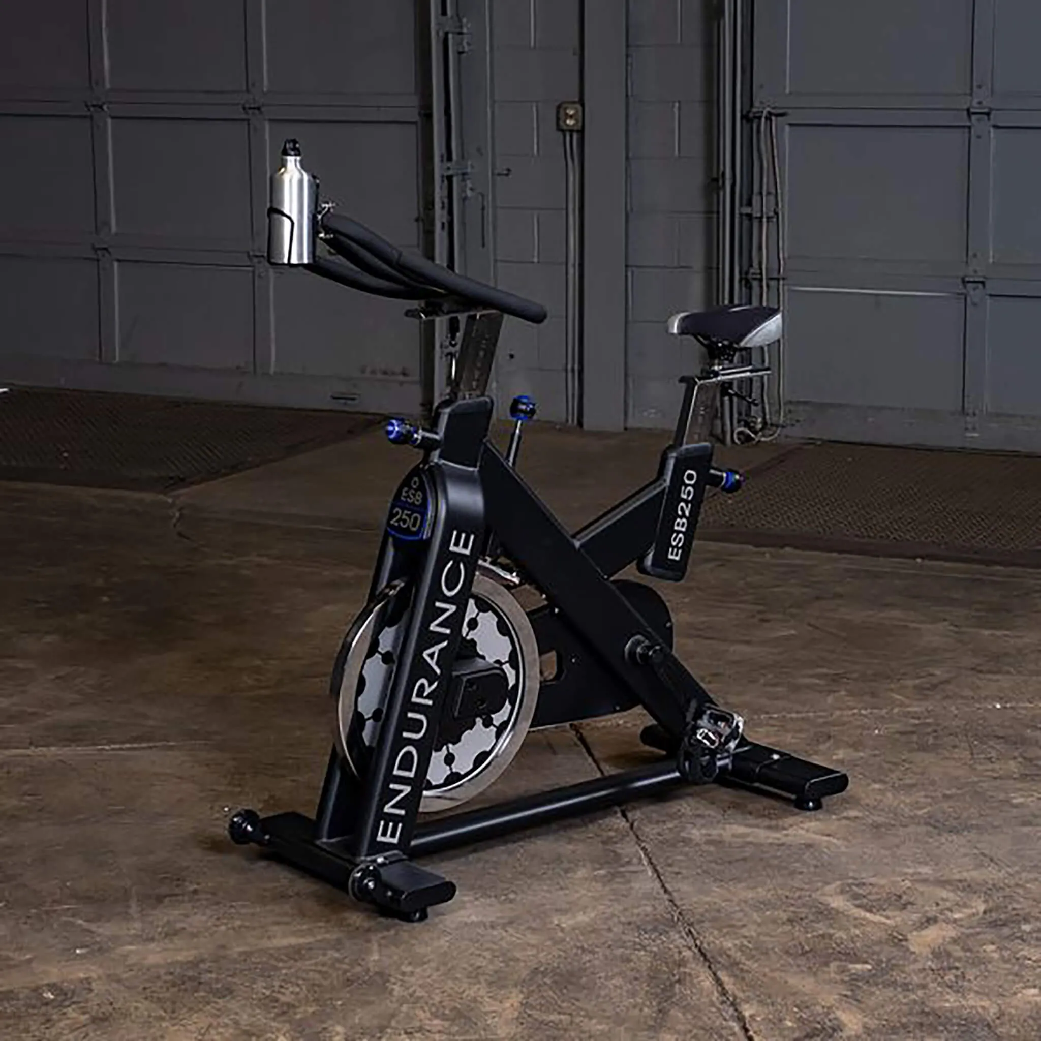 Body Solid Endurance ESB250 Exercise Bike