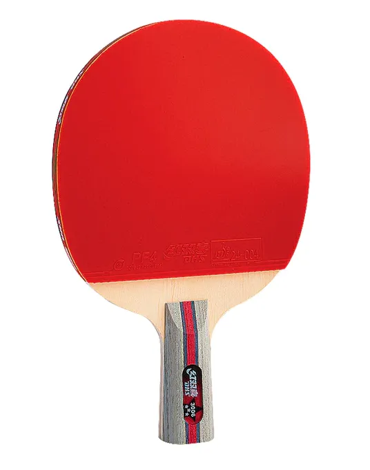 DHS H3006 Penhold (CS) Table Tennis Bat