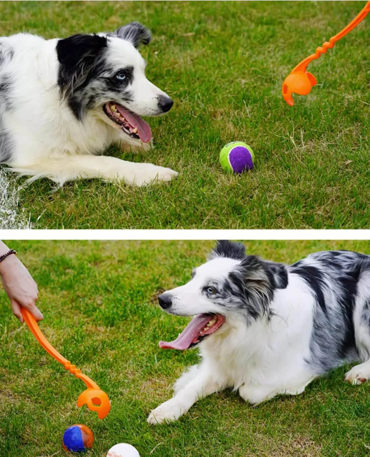 Dog Ball Launcher Set with Sound Tennis Hands Free Thrower Pick Up and Throw Play