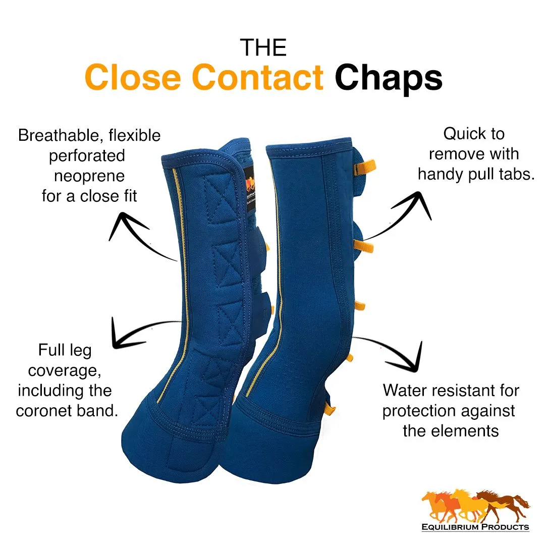 Equilibrium Equi-Chaps Close Contact Chaps