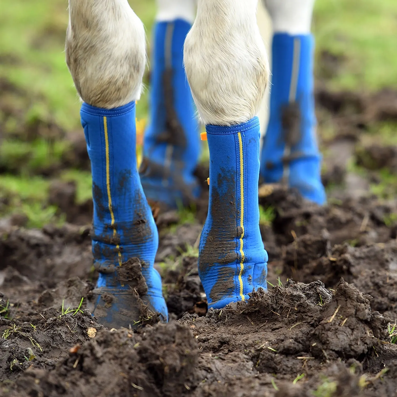 Equilibrium Equi-Chaps Close Contact Chaps