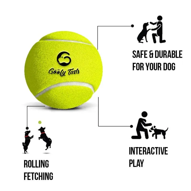 Goofy Tails Tennis Dog Ball | Tennis Ball 3 Ball Combo for All Dog Breed | Dog Toy Ball