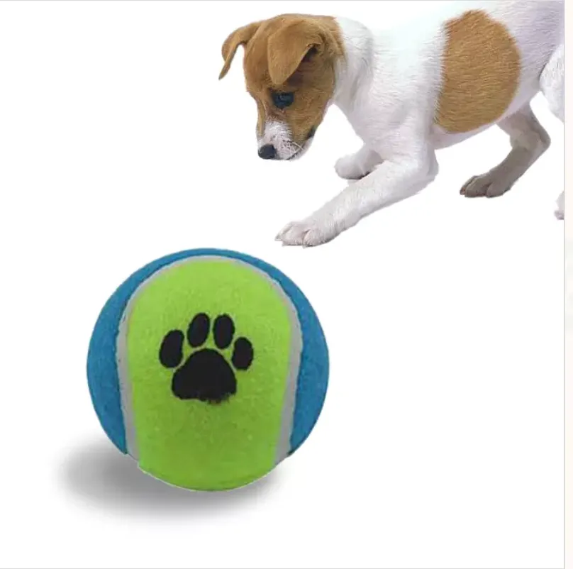 Kanu Pet Squeaking Tennis Ball Dog Toy