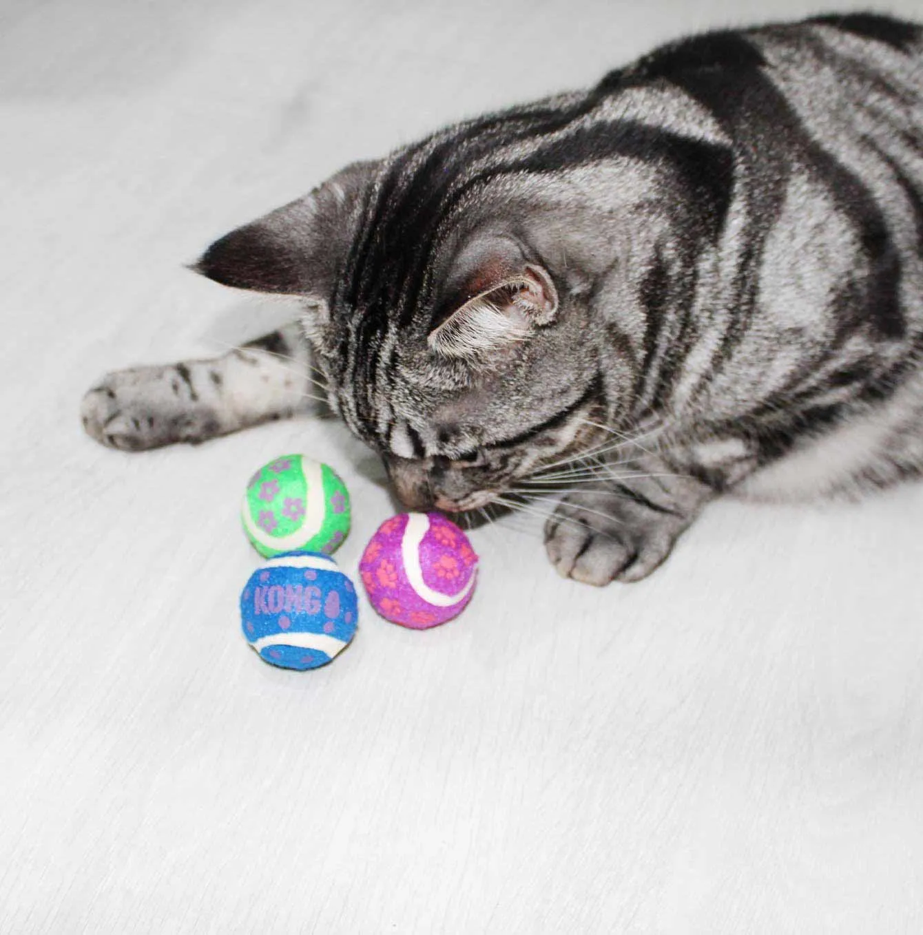 KONG Cat Active Tennis Balls With Bells