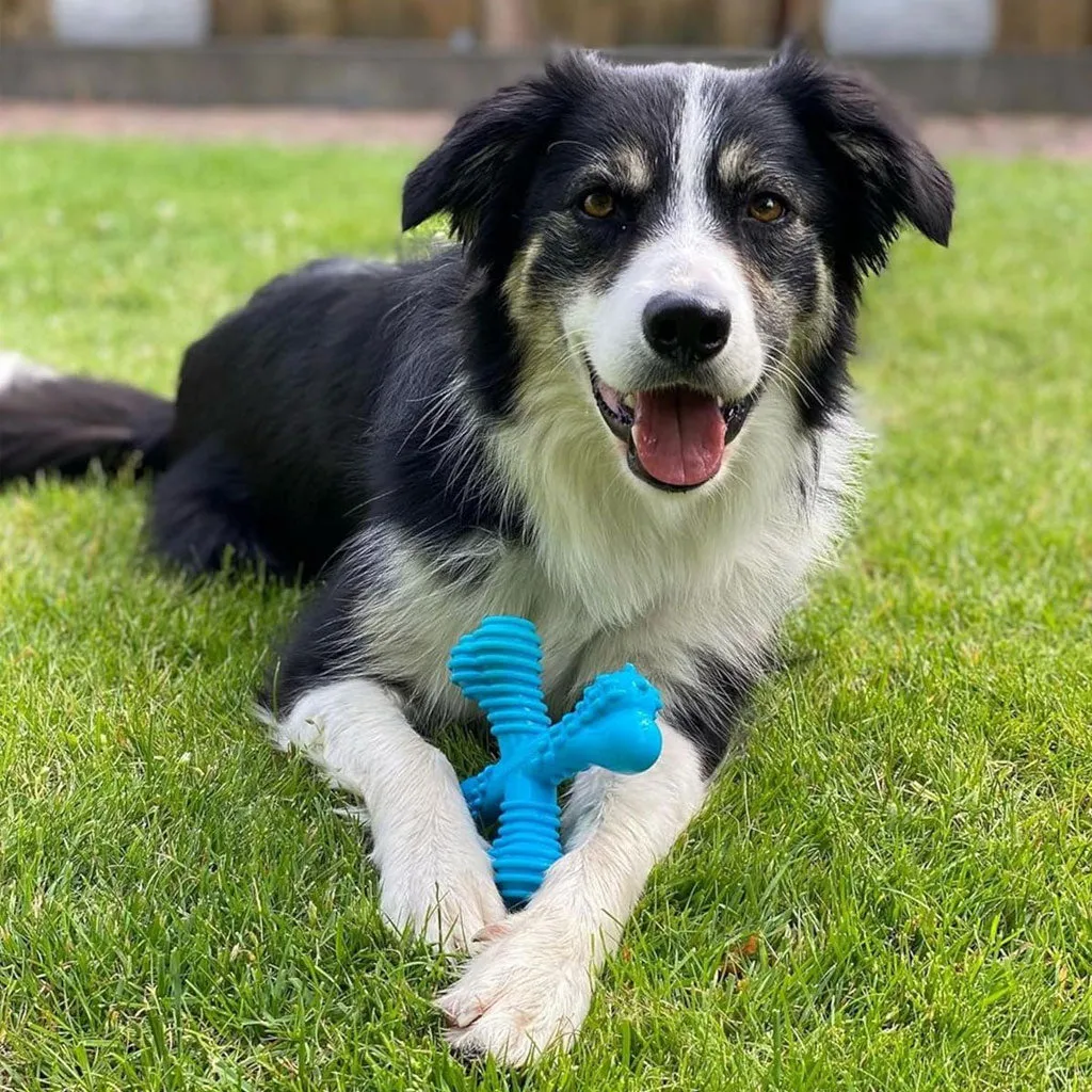 Nylabon Power Chew X Bone Chew Toy for Puppies, Beef Flavor