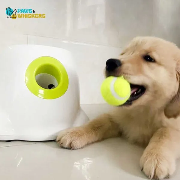 Paws & Whiskers Automatic Dog Tennis ball Launcher