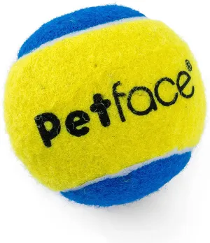 Petface Squeaky Tennis Ball Set of 3