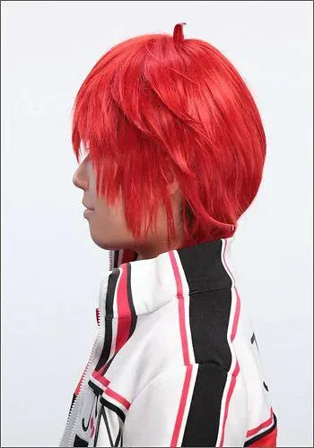 "Shin Tennis no Ouji-sama (The Prince of Tennis II)" Bunta Marui style cosplay wig