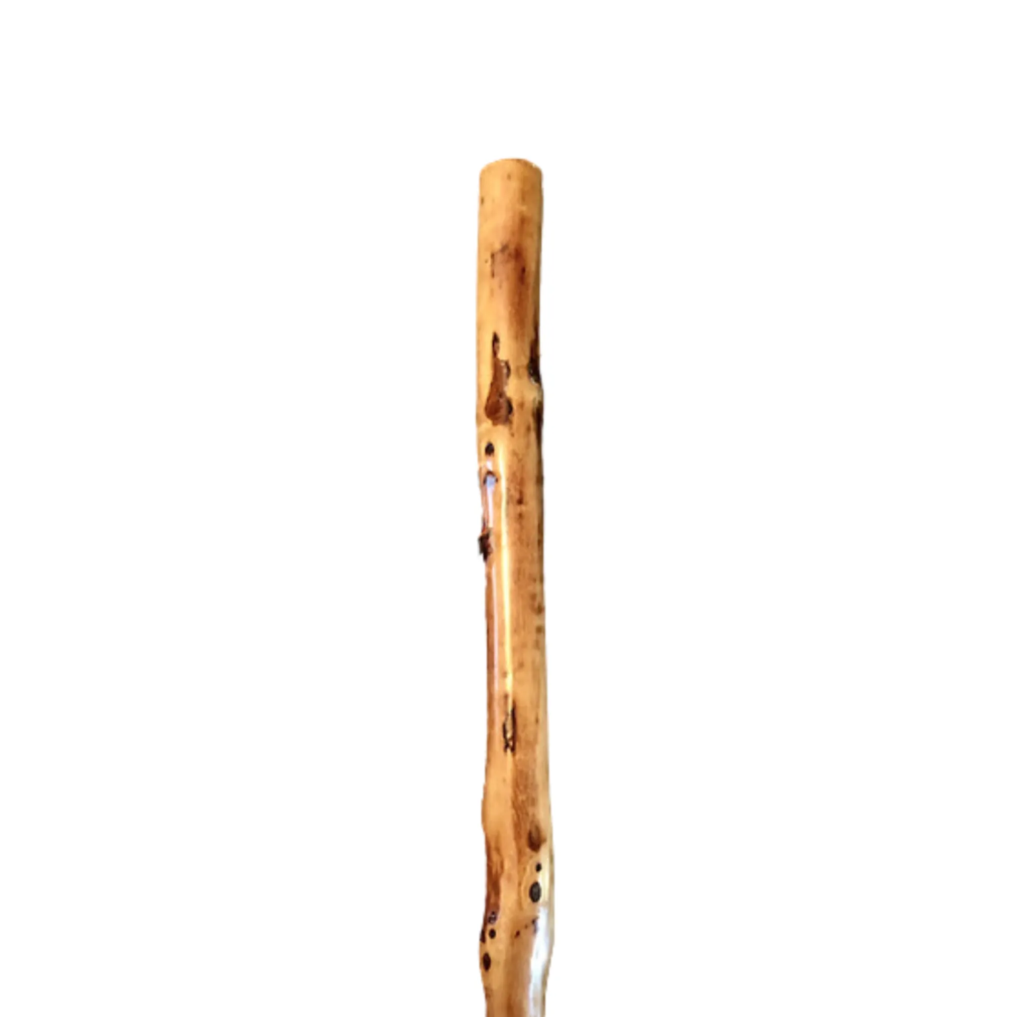 SP Classic Hiking Stick