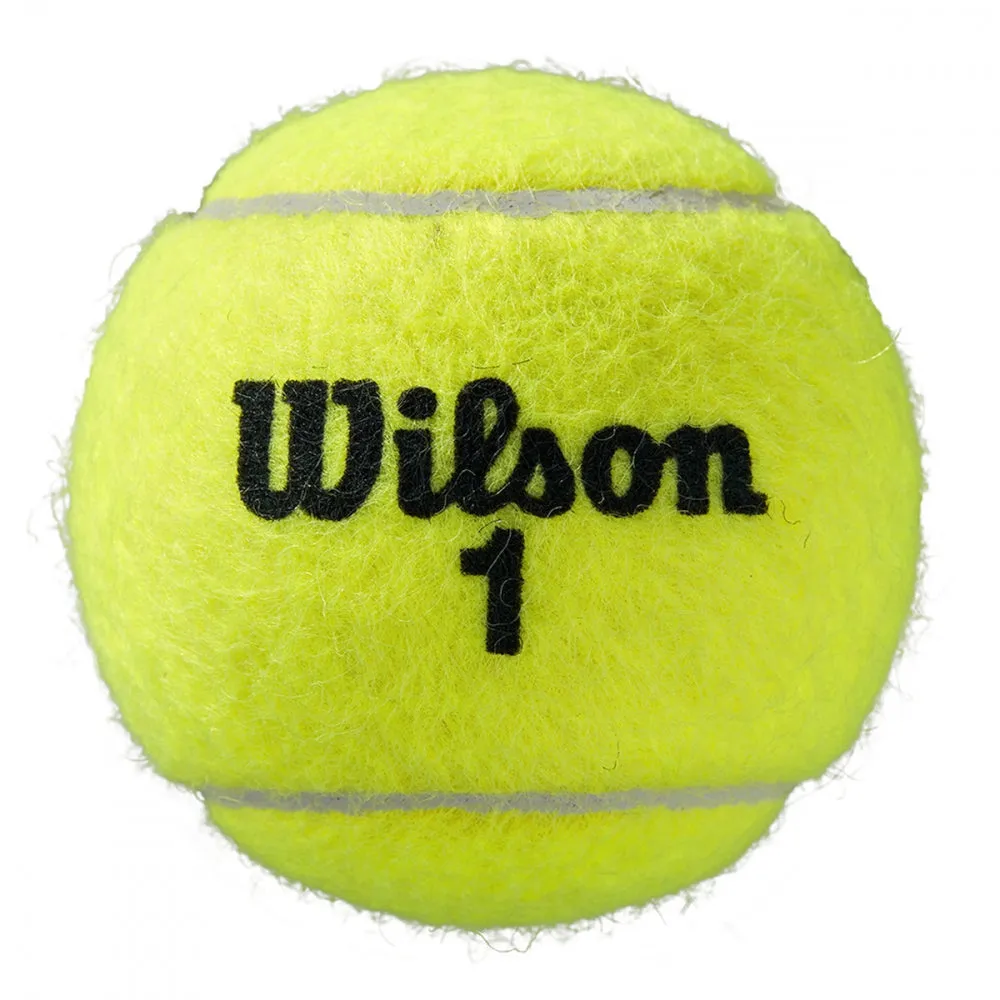 Wilson Roland Garros Har Tru Clay Tennis Ball Single Can