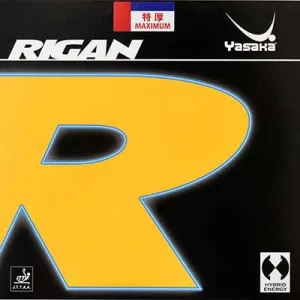 Yasaka Rigan